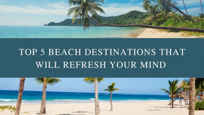 Top 5 beach destinations that will refresh your mind