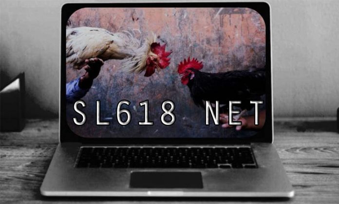 Sl618